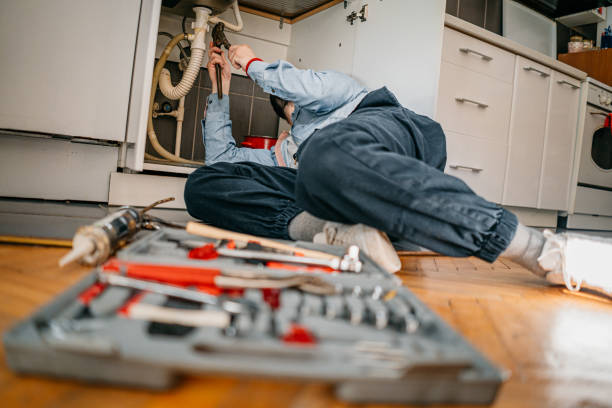Best Residential Plumbing Services  in Waverly, IL
