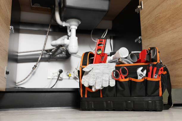 Best Leak Detection Services  in Waverly, IL