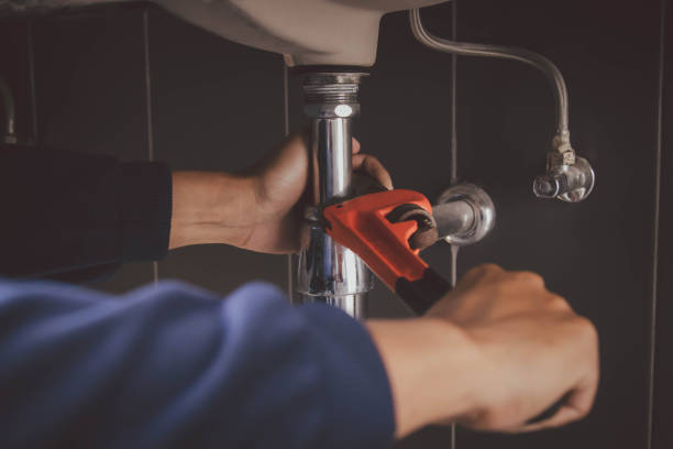 Best Clogged Drain Plumber  in Waverly, IL